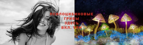 2c-b Новозыбков