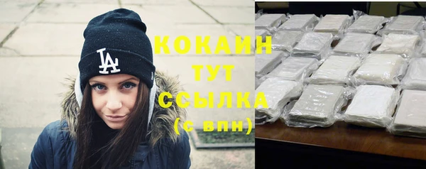 ешки Новодвинск