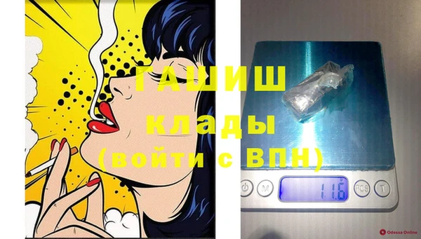 ешки Новодвинск