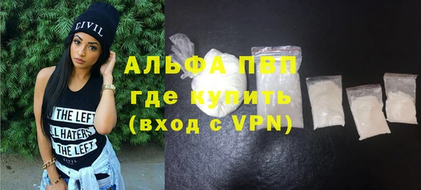 ешки Новодвинск