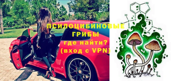 спиды Нефтекумск